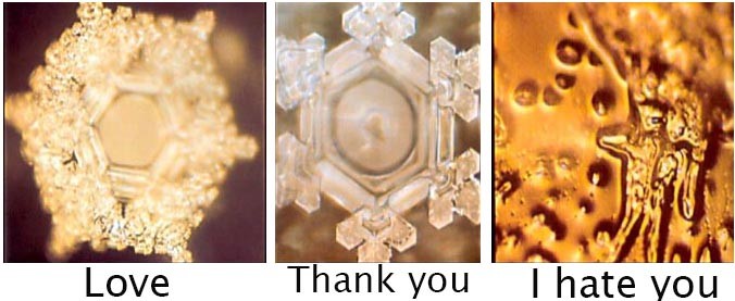 Water Crystals: Love, Thank you, I hate you